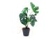 Tekokasvi GREENLAND H40cm, "Monstera"