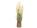 Keinotekoinen kasvi IN GARDEN H87cm, beige durra, ruohonkorvat ruukussa