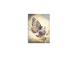 Kehyskalenteri KANTSLER Spiral Design Day "Butterfly" 2912517550 2912517550
