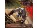 Assassin's Creed Mirage, PlayStation 5 - Peli