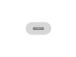 Apple USB-C - Lightning, valkoinen - Sovitin