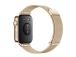 Huawei Watch Fit 3, metalli, kulta - Älykello - Smartwatch