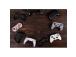 8BitDo USB Wireless Adapter 2, musta - Langaton ohjainsovitin