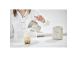 Severin Spuma Lite, 0,4 L, beige - Maidonvaahdotin (induktio)