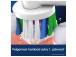 Braun Oral-B Pro 3D White, 2 tk, valkoinen - Varuharjad