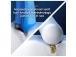 Braun Oral-B Pro 3D White, 2 tk, valkoinen - Varuharjad