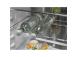 Electrolux 800 Series, NoFrost, 269 L, 189 cm - Integroitu jääkaappi