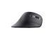 Langaton hiiri TRUST Verro Ergonomic, musta