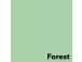 Värviline paber A4 160g IMAGE Coloraction nr.65 pastelne roheline (Forest) 250 lehte