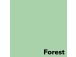 Värviline paber A4 80g IMAGE Coloraction nr.65 pastelne roheline (Forest) 500 lehte